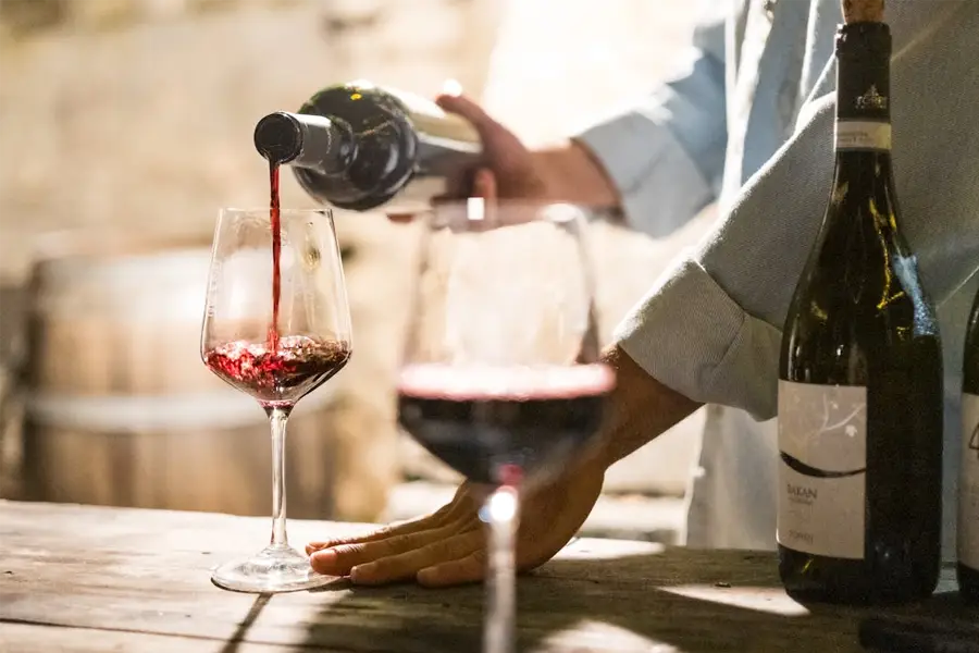 Il vino senza segreti