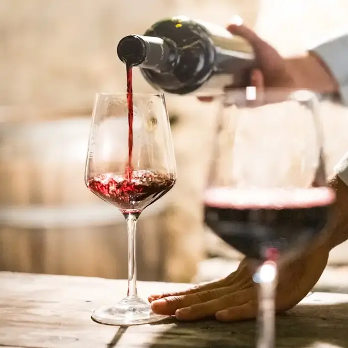 Il vino senza segreti